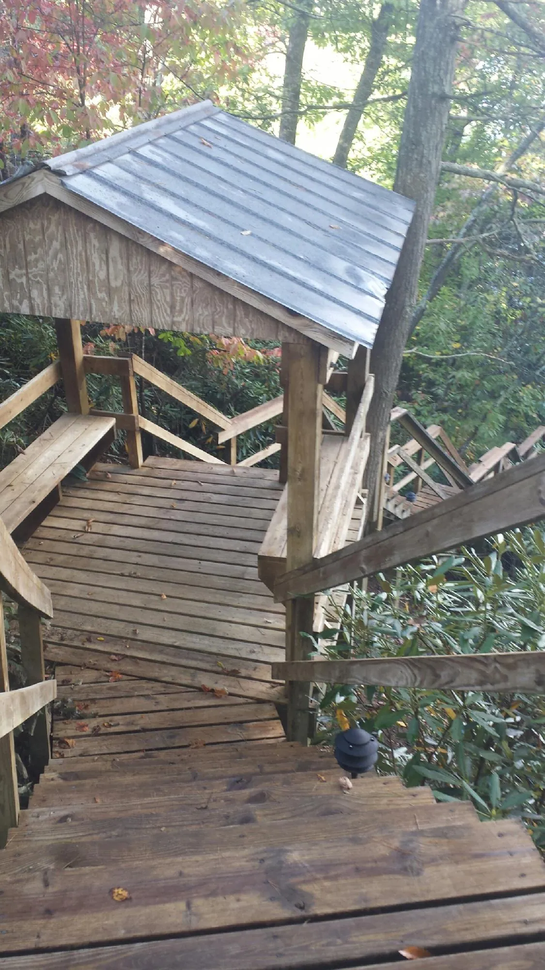 Metal roofed shelter over wooden steps on a wooded walkway — Skylight Repair & Installation work by our crew in Havelock