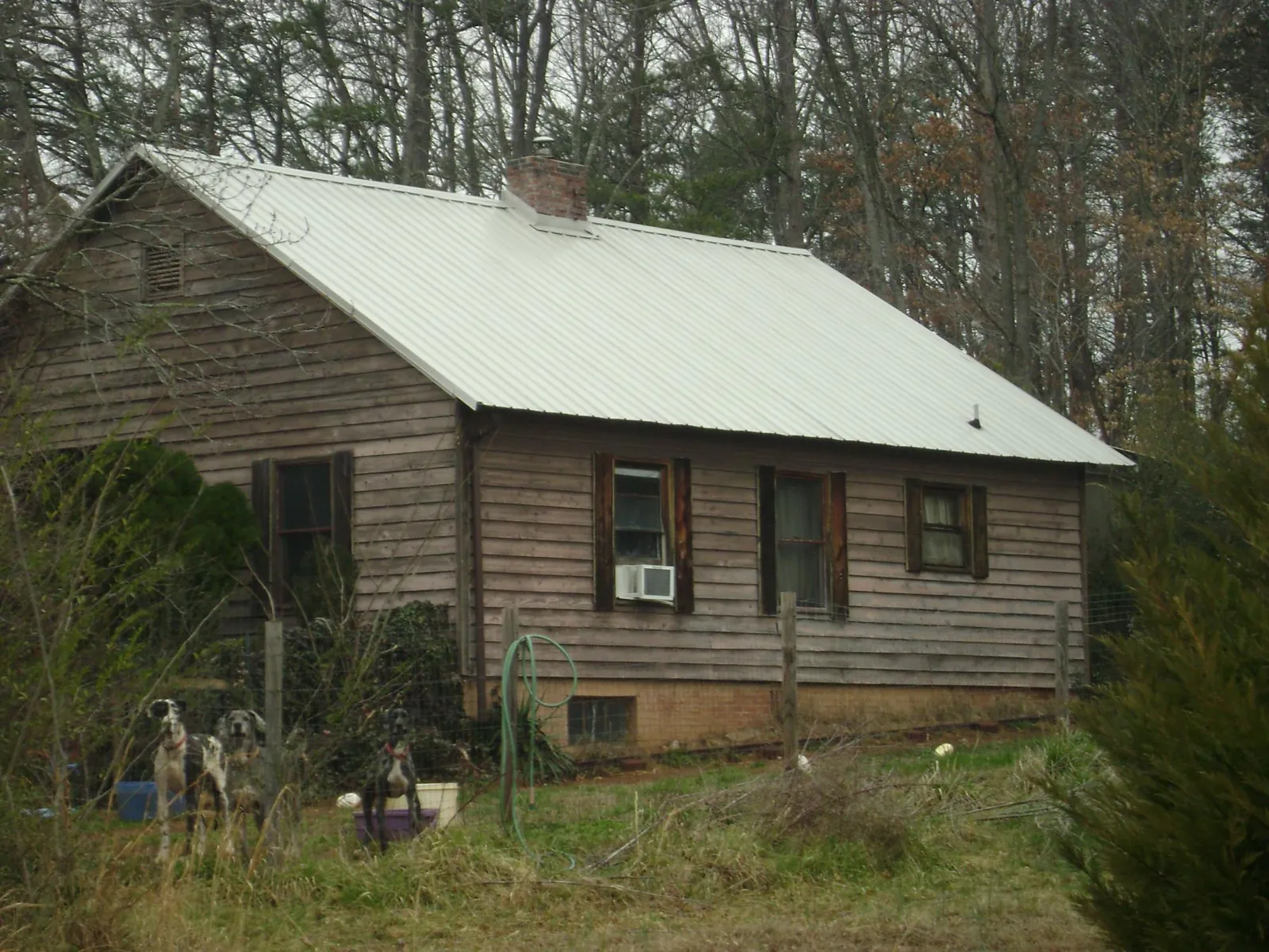 White metal roof on an old wood sided farmhouse, from a Asphalt Shingle Roof Repair job in Havelock